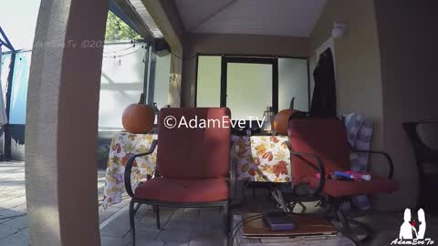 Adam And Eve online show from November 1, 8:33 pm