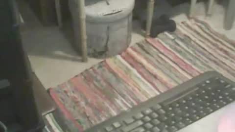 Snapshot of adamsny chatting on November 9, 6:55 am adamsny online show from November 9, 6:55 am