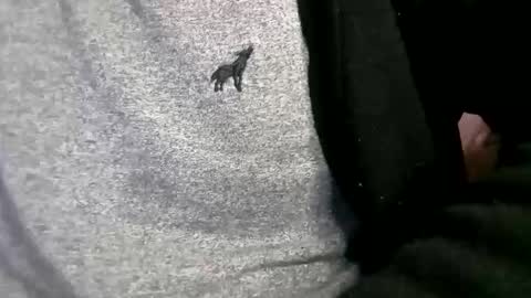 adarkvid420tj online show from February 18, 6:20 am