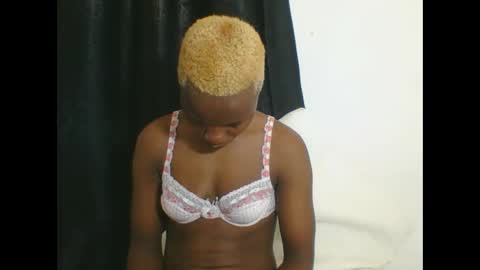 PHOEBE online show from October 6, 11:40 am