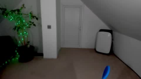 Snapshot of afrodisiacaly chatting on December 14, 12:38 am afrodisiacaly online show from December 14, 12:38 am