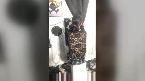 afroluz online show from April 27, 2:20 am