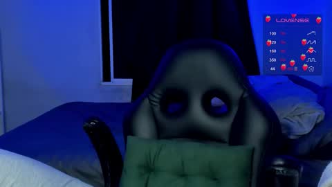 Cat online show from November 24, 4:45 am