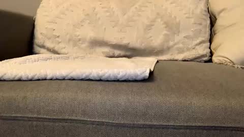 canadianboy92 online show from November 26, 1:39 am