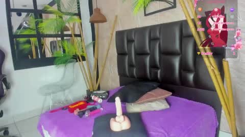 Alana online show from March 14, 11:15 am