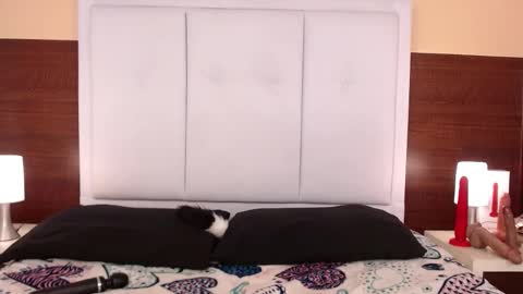 alana online show from October 25, 3:58 am