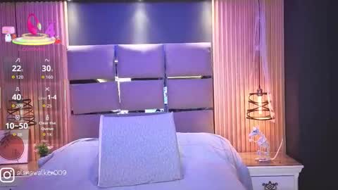 Snapshot of alanawalker9 chatting on November 24, 3:28 am Sasha online show from November 24, 3:28 am