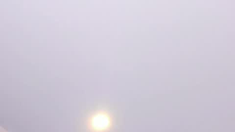 Alanna  online show from April 9, 6:19 am