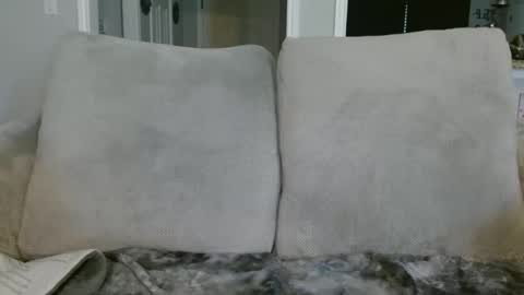 Alanna Rack online show from January 13, 4:51 pm