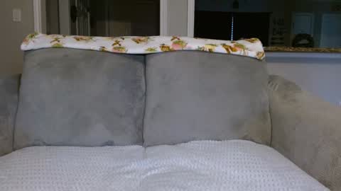 Alanna Rack online show from February 26, 2:14 pm