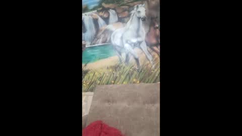 albina online show from February 9, 8:40 am