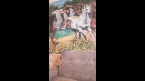 albina online show from February 24, 8:23 am