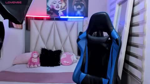 Snapshot of ale_noah_xxx chatting on January 6, 2:48 am ale_noah_xxx online show from January 6, 2:48 am