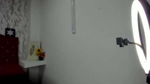 ALEJANDRA JAMES online show from May 4, 11:28 am