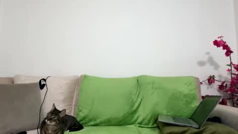 Snapshot of alejo__twinkboy chatting on January 30, 8:11 am alejo__twinkboy online show from January 30, 8:11 am