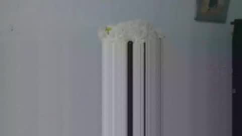 aleka_williams_ online show from October 20, 11:27 pm