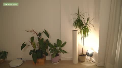 Ale online show from April 6, 11:49 pm