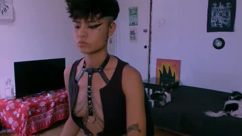 Alex online show from December 19, 7:43 pm