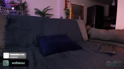 Alex Wolf online show from January 16, 2:41 am