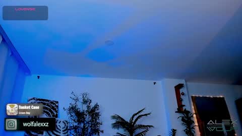 Alex Wolf online show from January 17, 5:21 am