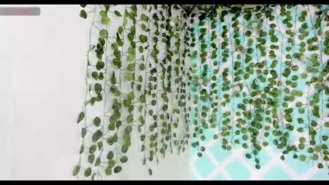 chicos hot online show from November 18, 2:21 pm