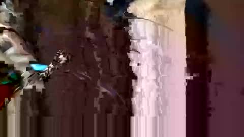 Snapshot of alexey932 chatting on November 10, 10:03 am alexey932 online show from November 10, 10:03 am