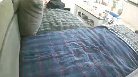 Doggystyle online show from May 2, 8:41 am