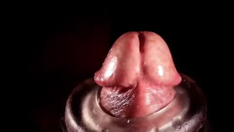 Snapshot of alexhoward chatting on March 3, 6:19 am alexhoward online show from March 3, 6:19 am