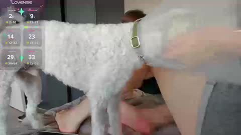 Alexia online show from November 20, 3:23 pm