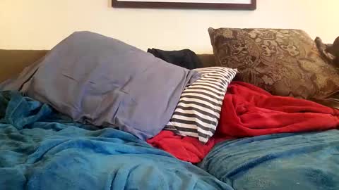 Snapshot of alexinside_you chatting on October 20, 12:33 am Alexinside you online show from October 20, 12:33 am