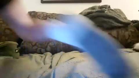 Snapshot of alexinside_you chatting on November 8, 2:34 am Alexinside you online show from November 8, 2:34 am