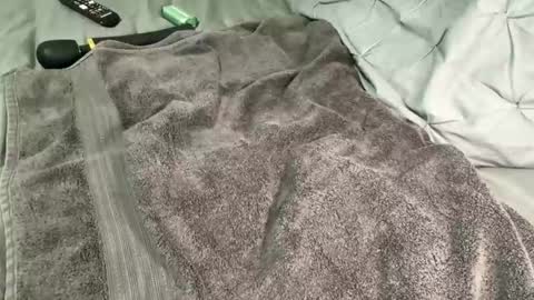 Snapshot of alexis_696969 chatting on December 13, 11:34 am Alexis online show from December 13, 11:34 am