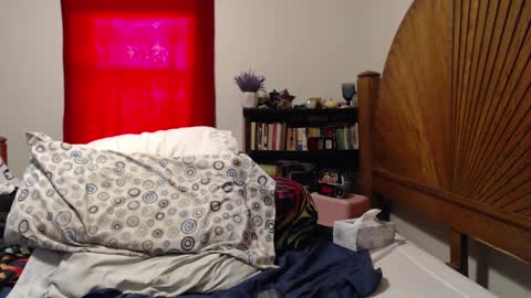 Alexis online show from February 25, 3:05 pm