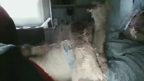 Snapshot of alexxro20 chatting on February 5, 8:08 am alexxro20 online show from February 5, 8:08 am