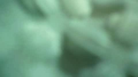 ali_asianguyuk online show from December 1, 1:32 am