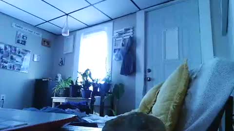 Snapshot of ali_tayler chatting on November 8, 1:44 pm ali_tayler online show from November 8, 1:44 pm