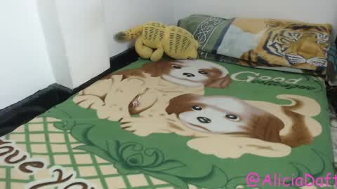 Alicia Aldara online show from April 9, 6:02 am