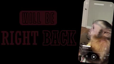 Sofia online show from March 2, 1:07 pm