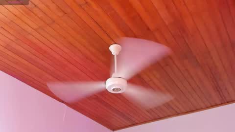  ALICEKIING online show from December 16, 3:00 am