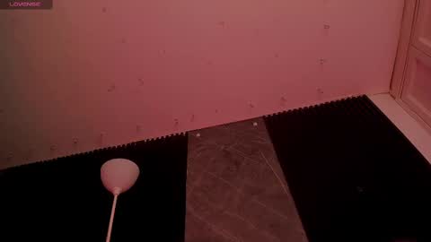 ALICE  online show from November 12, 6:36 am