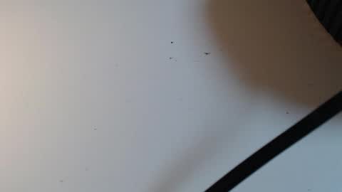 Snapshot of alid_17 chatting on February 16, 5:31 pm Alid 17 online show from February 16, 5:31 pm