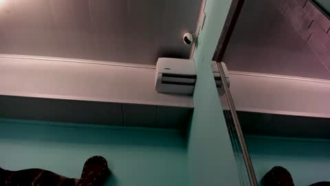 Alice online show from December 31, 10:58 am