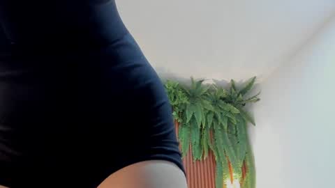 Alice online show from June 23, 1:42 pm