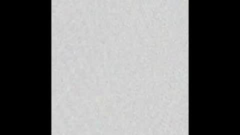 Alisse online show from January 15, 11:59 am