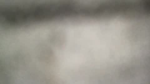 all_most_sane online show from June 25, 6:34 pm