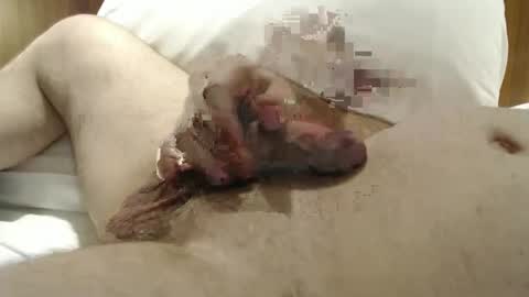 Snapshot of allwaysrdy7272 chatting on January 29, 10:22 pm Frank online show from January 29, 10:22 pm