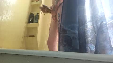 Snapshot of allwolf0323 chatting on September 30, 4:45 pm allwolf0323 online show from September 30, 4:45 pm