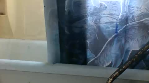 allwolf0323 online show from November 6, 3:24 pm