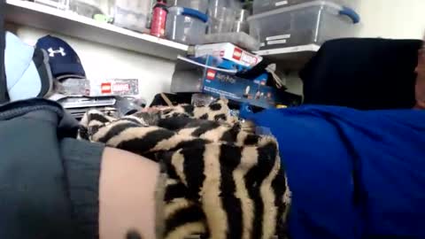 allwolf0323 online show from March 13, 9:32 pm