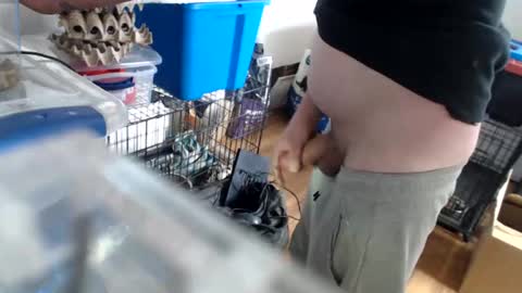 allwolf0323 online show from April 14, 4:02 pm